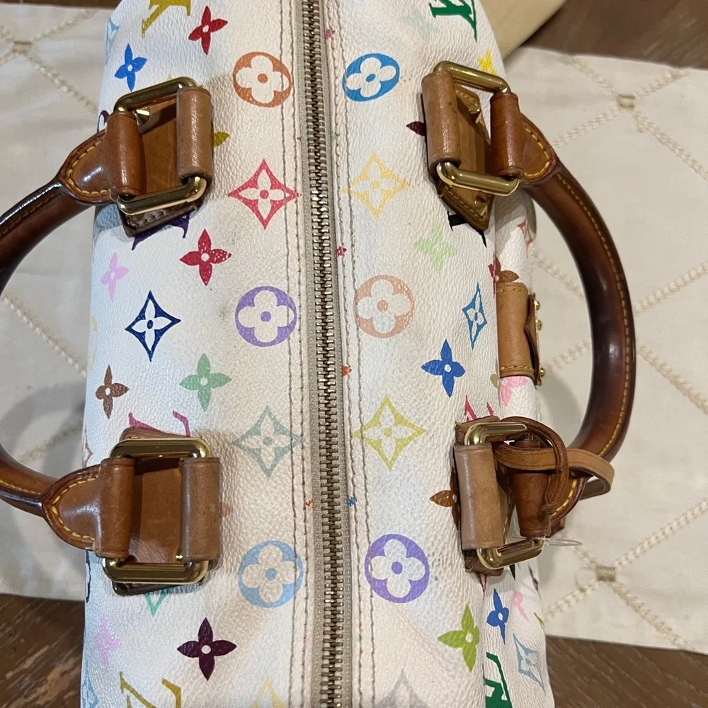 Louis Vuitton Multicolor Speedy Takashi Murakami - Picture 6 of 13